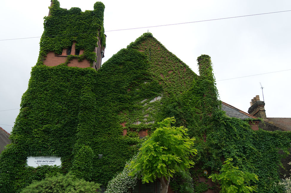 Trinity Community Centre