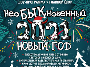 Необыкновенный Новый год