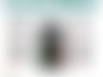 Осторожно! Мошенники в интернете!