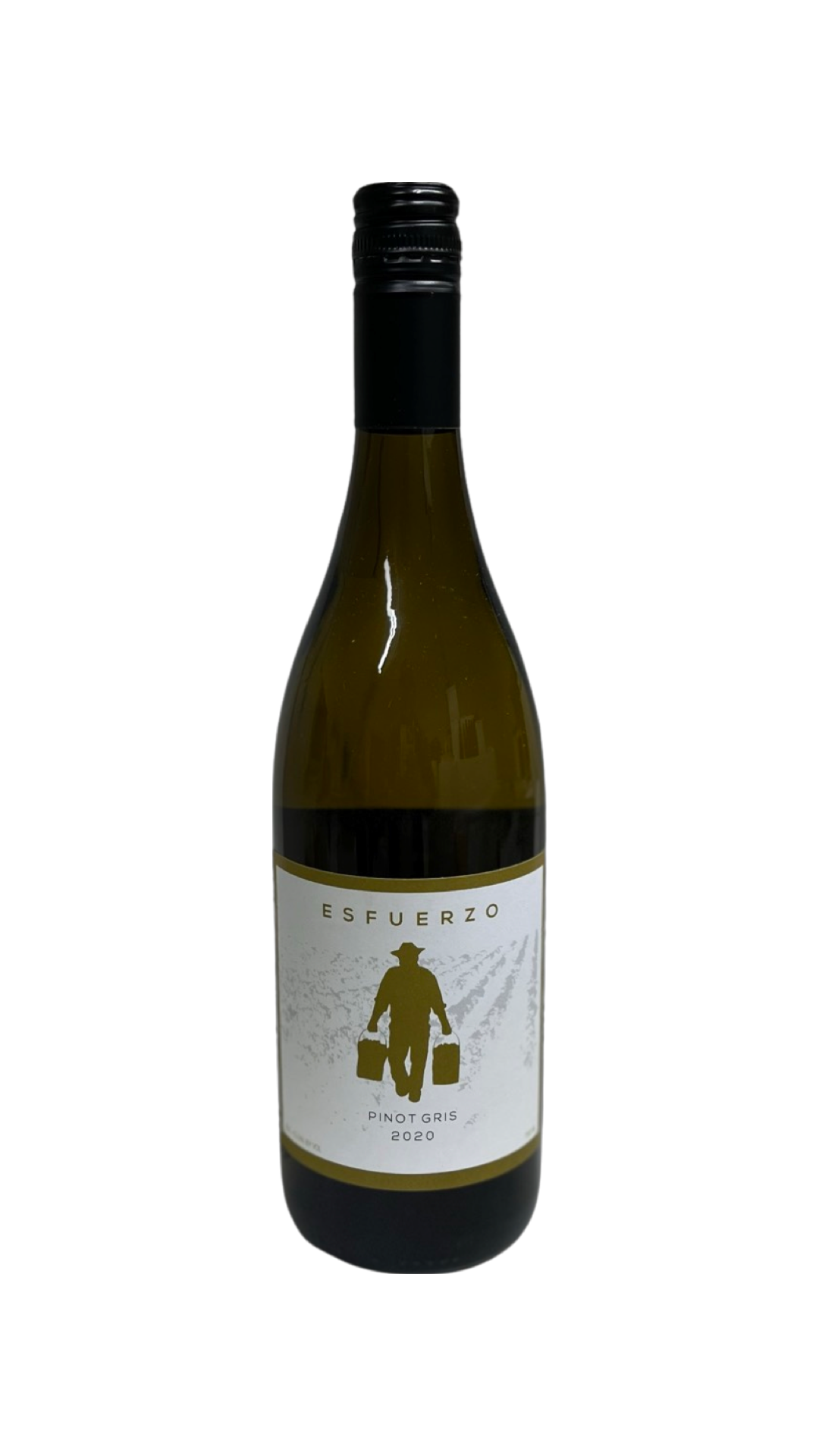 2020 Pinot Gris