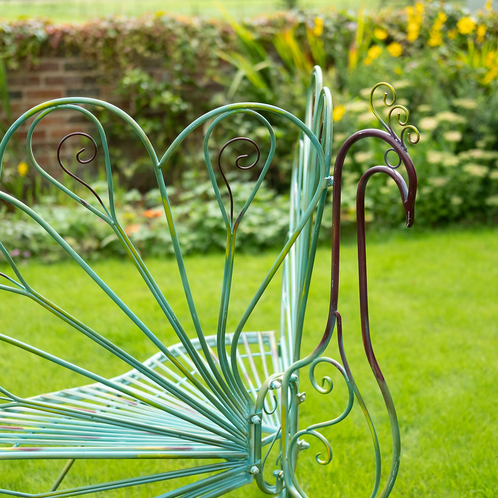 Aquitaine peacock garden chair – hand-painted multicolour finish, angled view
