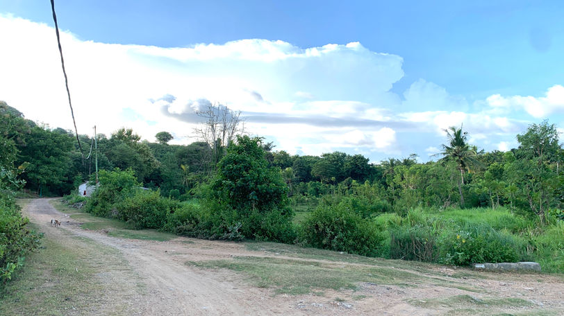 Wide public access road and electricity lines bordering land for sale in Are Guling.