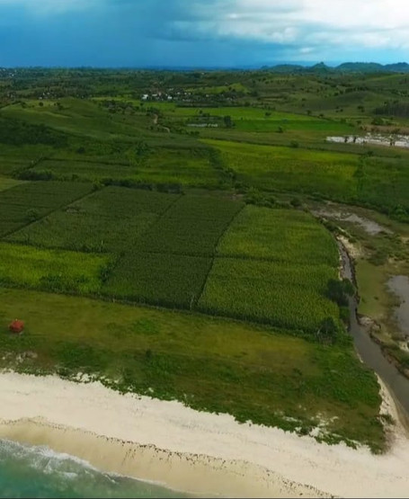 Aerial view of the lush tropical landscape meeting the white sand beach on the 18-hectare Ekas development site.
