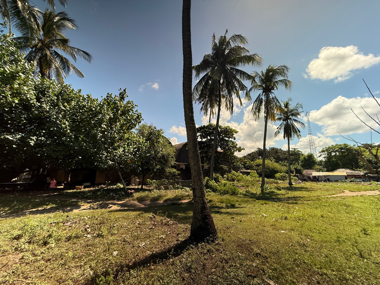 Looking through tropical trees across a large flat grassy resort development land plot in Mandalika Lombok.
