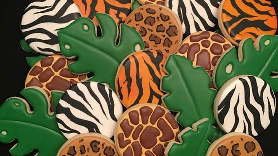 Safari Cookies (not our picture)