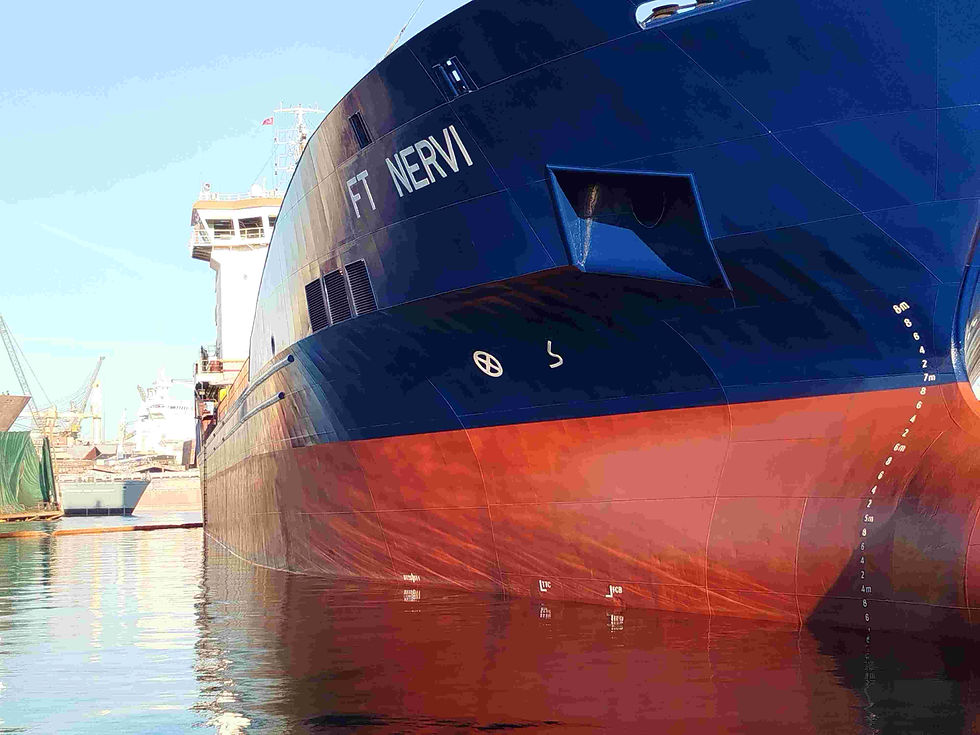 FT Nervi.jpg