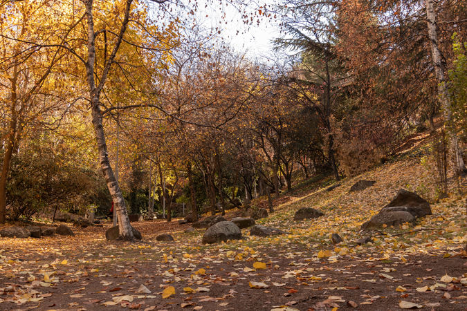 Portakal Çiçeği Parkı