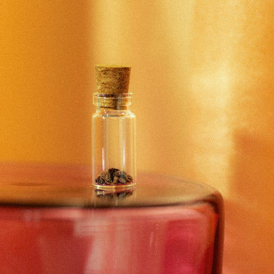 Miniaturbild: Auf dein Sternzeichen angepasste Pflanzensamen als perfektes, besonderes Geschenk
