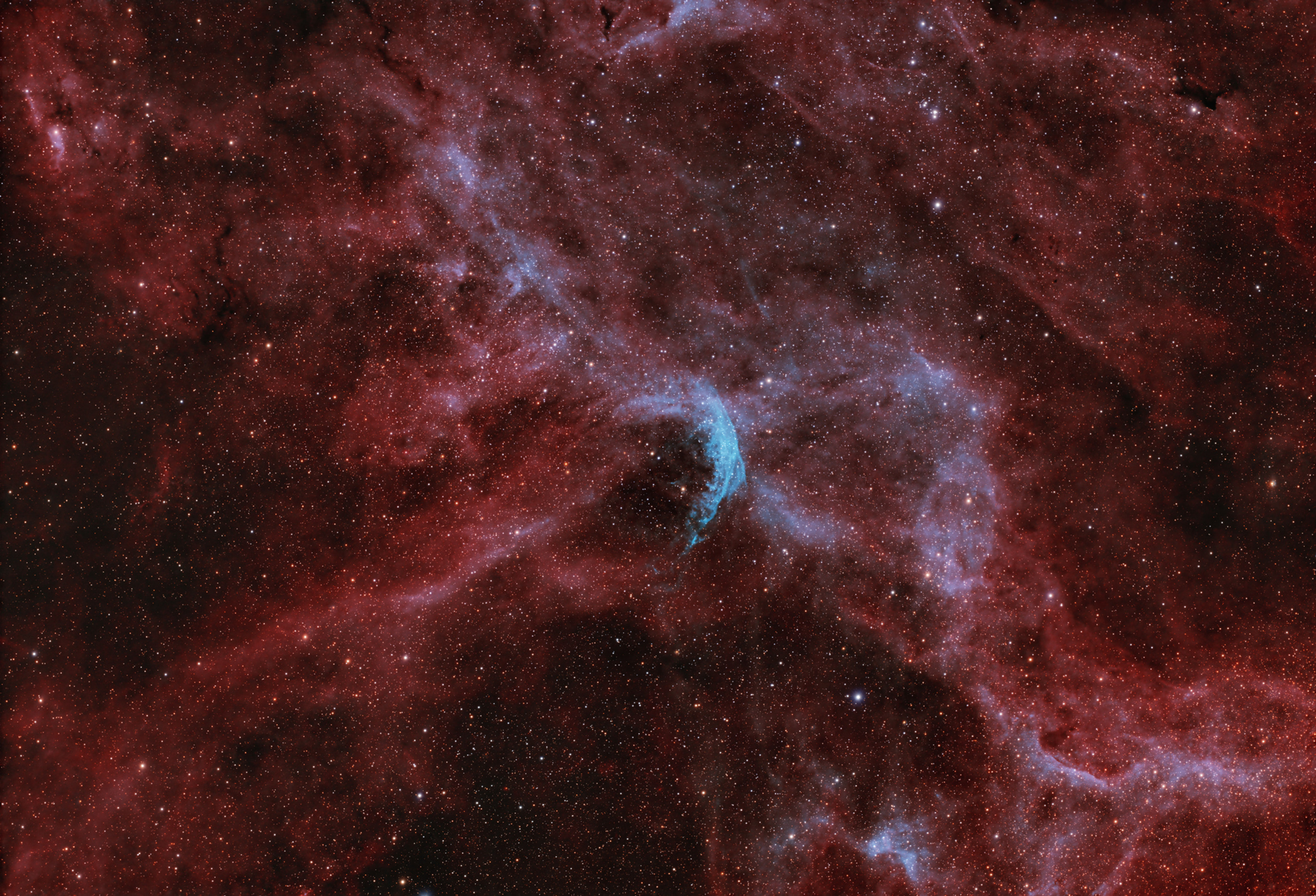 Wolf-Rayet 134 - A Supernova Seed