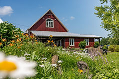 Domaine-Gelinas-14-juillet-DSC_1885.jpg
