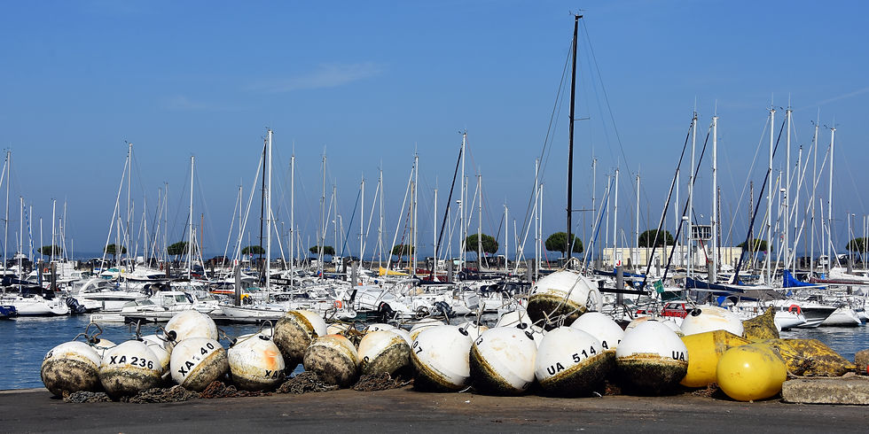 Arcachon -Le port