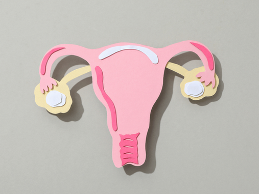 Hormone therapy without proper testing can overload the liver, causing fatigue, belly fat, and brain fog. Learn how to avoid this common mistake.