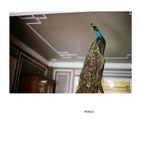 poem1.jpg