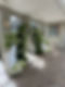 IMG_5391.JPEG