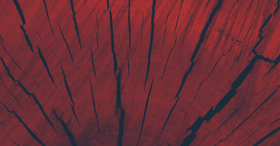 Red Wood