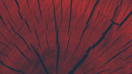 Menstrual Blood Ritual  (New moon in Aries/Scorpio)