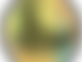 SANKALPA: A FORÇA DO PENSAMENTO, O PODER DA AÇÃO