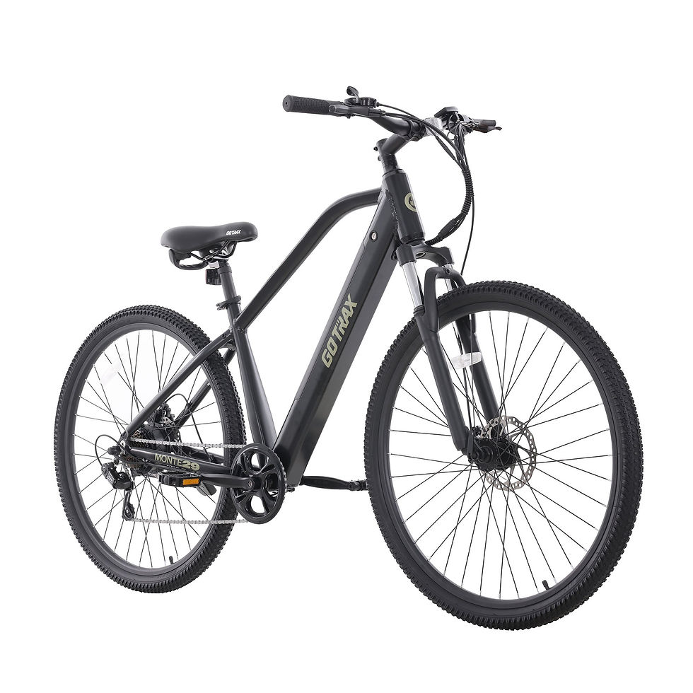 Monte Electric Bike - Black