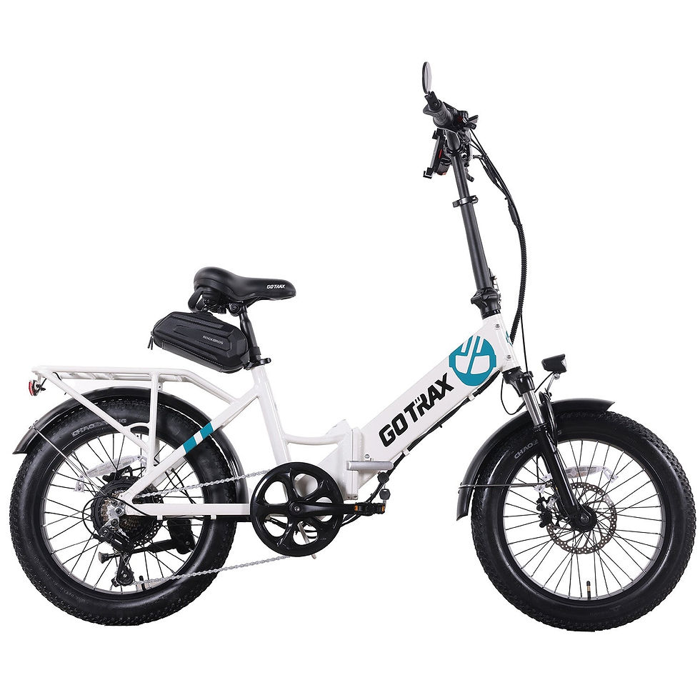 F2 Foldable Electric Bike 2.0 - White