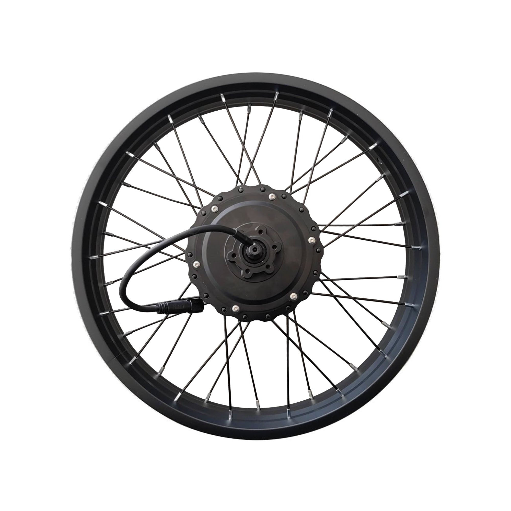 R2/F2 Electric Bike Motor Wheel Assembly