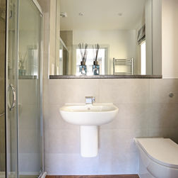 1 Wildflower Meadow 304450 (36).jpg