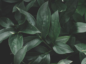 EP. 21 Six Ways to Set Healthy Boundaries