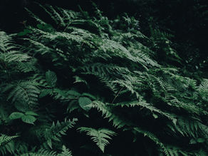 EP. 7 God Won't Give Up On Us