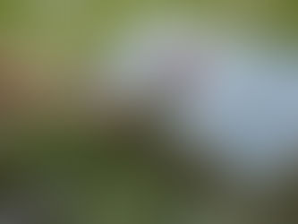 EP. 122 How to Have Profound Joy in the Midst of Grief