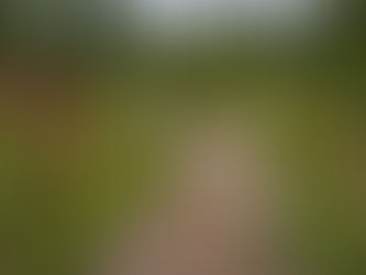 EP. 189 Seeking God's Will: 8 Questions to Ask When Facing Life's Crossroads