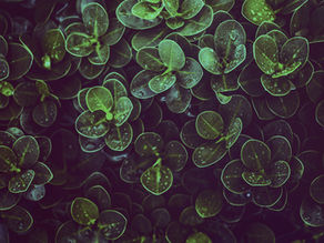 EP. 8 Ten Ways to See the Best in Others