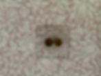 invisible wallpaper light switch