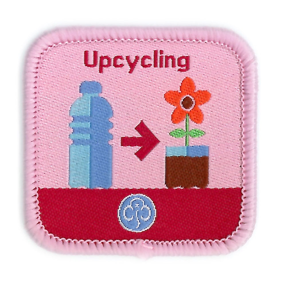 Thumbnail: Guide interest badges