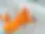 d25ba4_b0bb03610bad47aab22adb894c2d0696~mv2.webp
