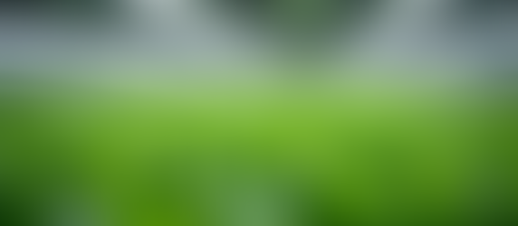 Innovative Trends Shaping the Future of Agriculture Businesses