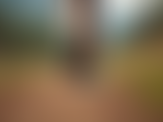 Mastering Ultra-Marathon Preparation