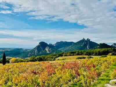 Couleurs chatoyantes des vignes en automne en Vaucluse. Ici à Beaumes de Venise, au pied des Dentelles de Montmirail