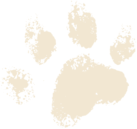 Paw print