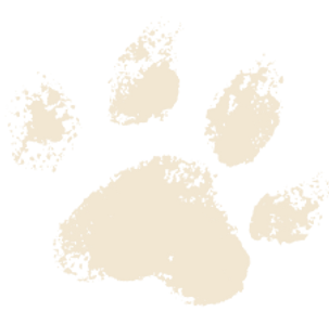 Paw print