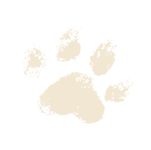 Paw Print