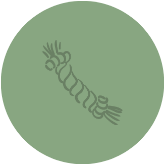 Play Icon CB.png