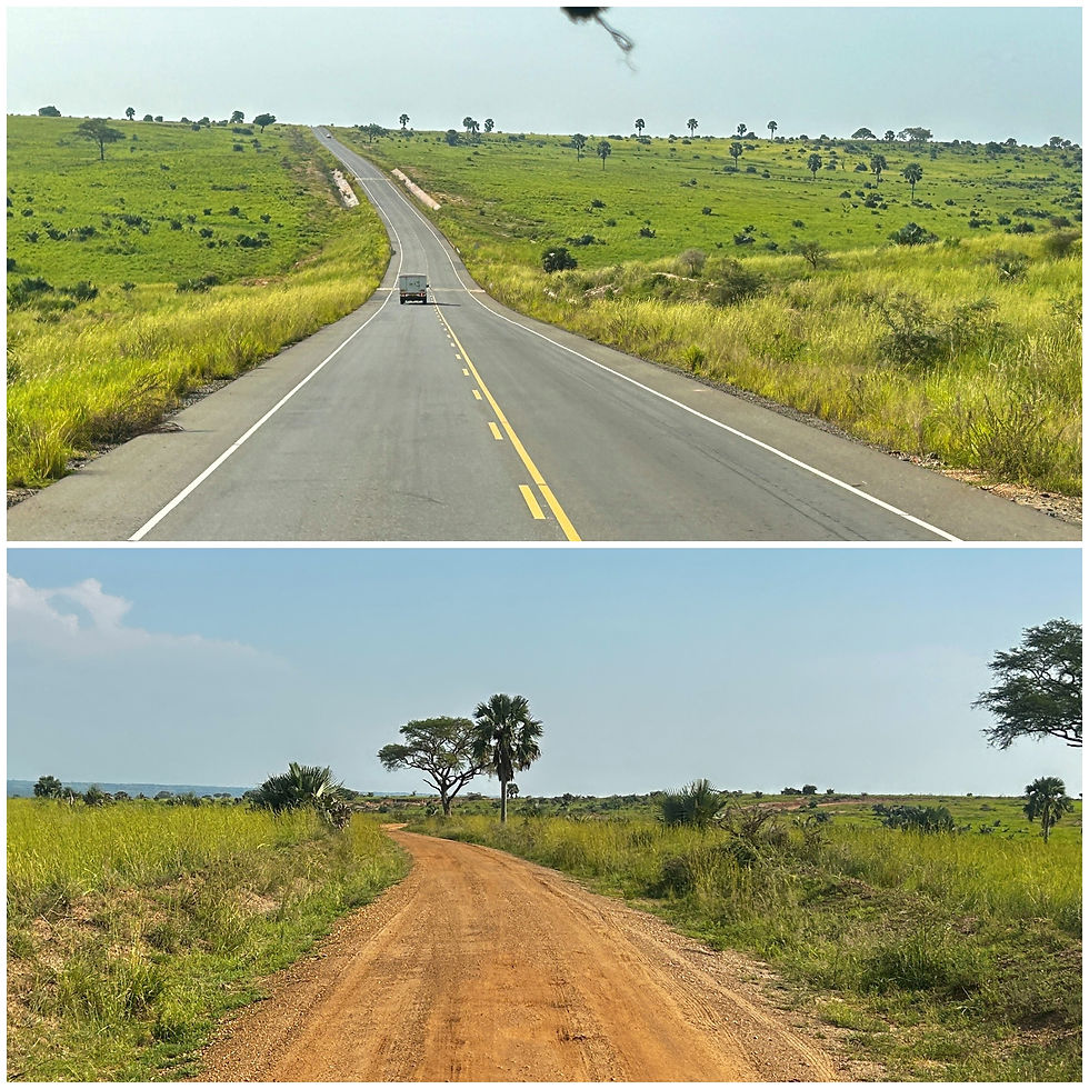 Roads Inside(top) Vs Outside the Park(bottom)