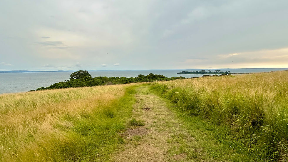 Picture Perfect Trail behind One Minute South