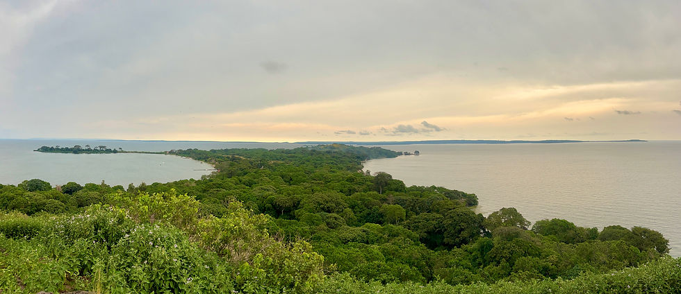 View from the Top of the Hill