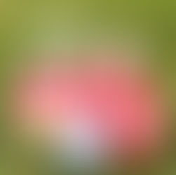 Mick J. Clark - I Want It More Than You.