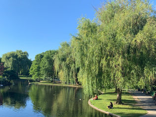 Nate‍‌‍‍‌‍‌‍‍‌ Todd