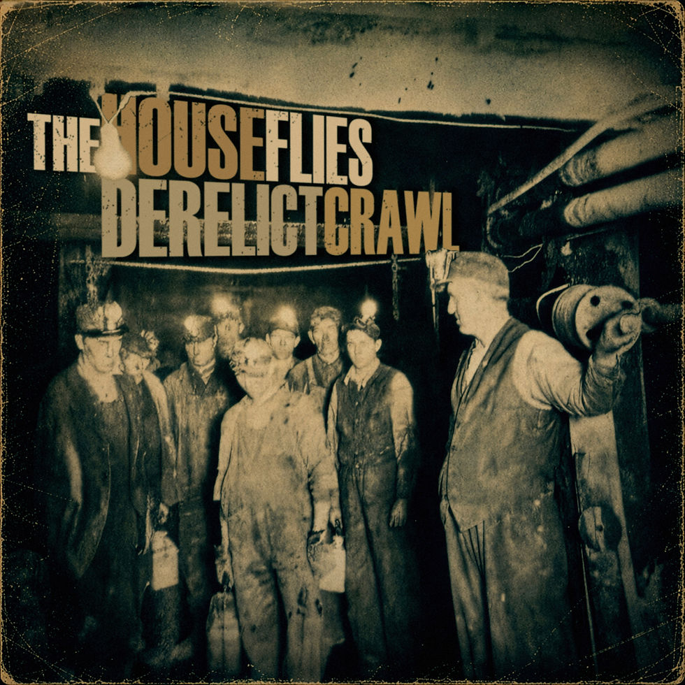 The House Flies