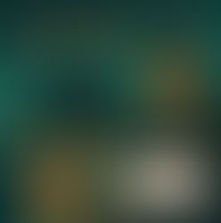 Tony Frissore - Island Lantern Festival