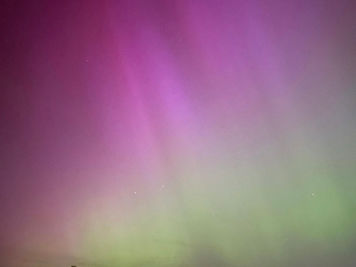 Harry Stock -  pretend love