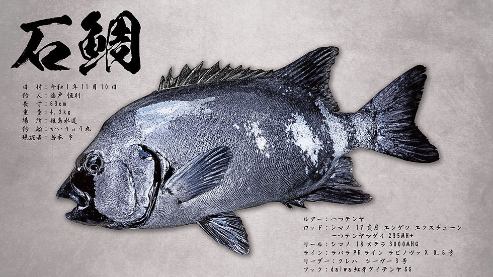 石鯛.JPG