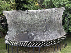 IMG_8594.jpeg